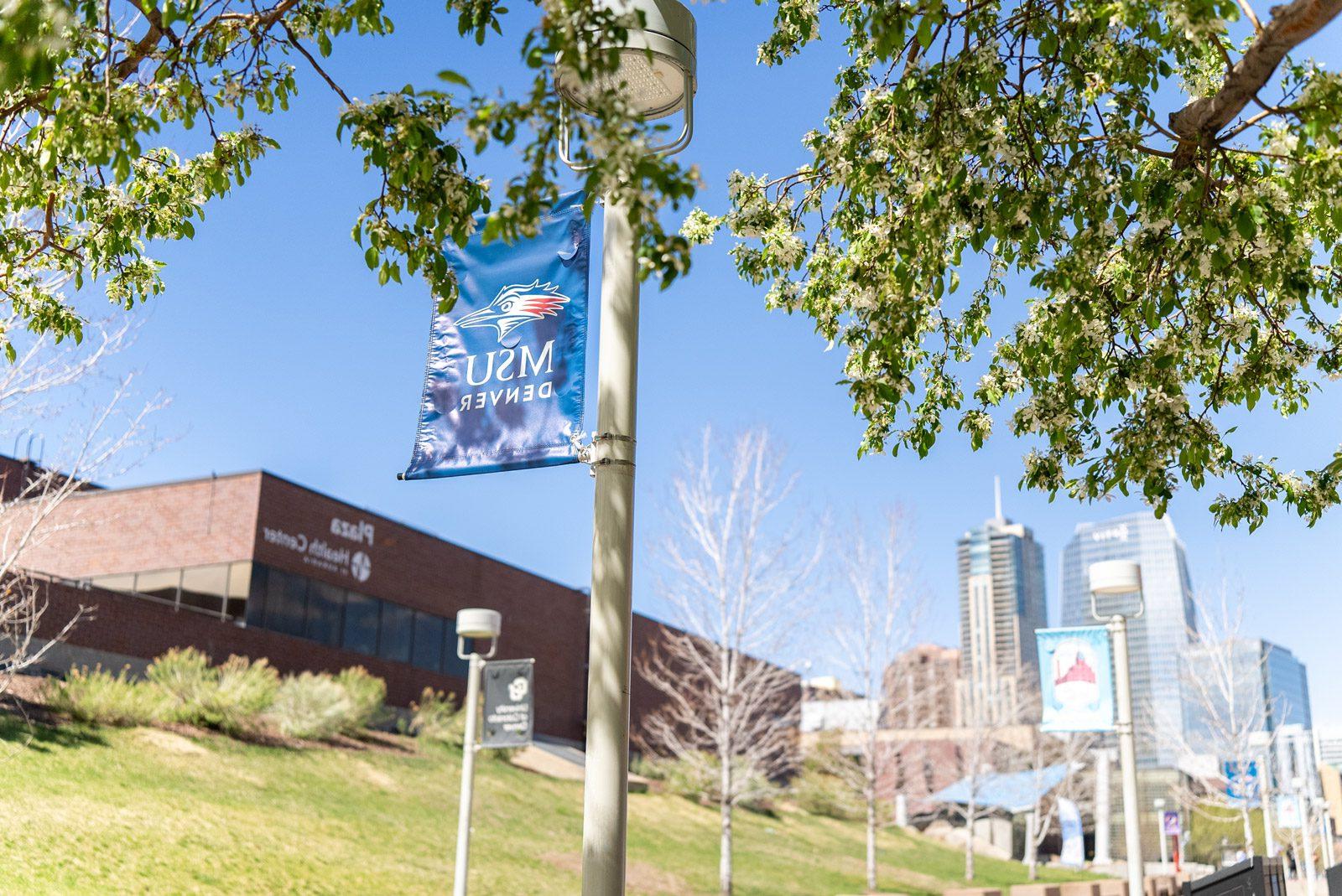 校园里正在发芽的树木，背后是密歇根州立大学丹佛分校的蓝色横幅和广场大楼